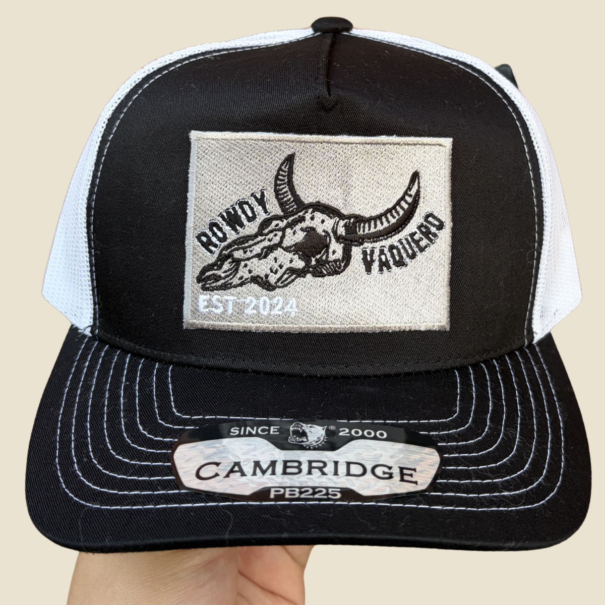 RV Bullskull Cap - Black/Silver